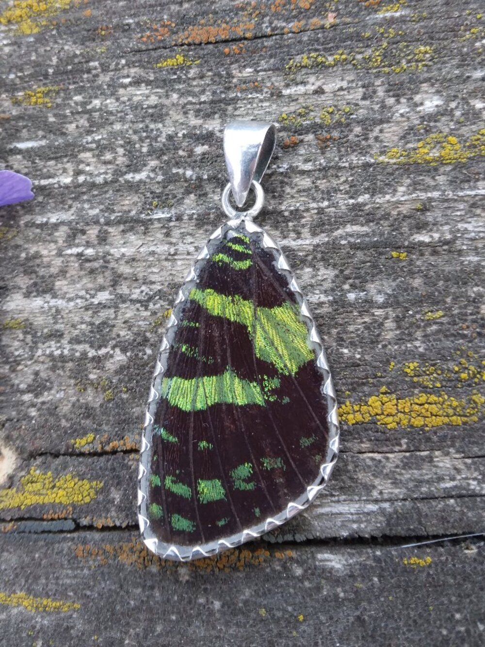 Vintage Sterling Silver Madagascar Sunset Moth Wing Reversable Pendant - Picture 6 of 9